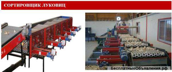 Сортировщик луковиц чеснока лука