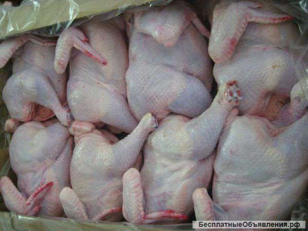 Купим курицу оптом