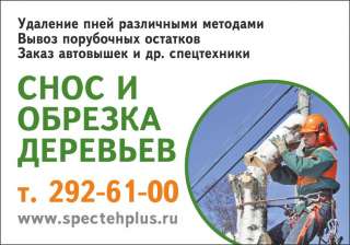 Валка деревьев Удаление пней.Вывоз.