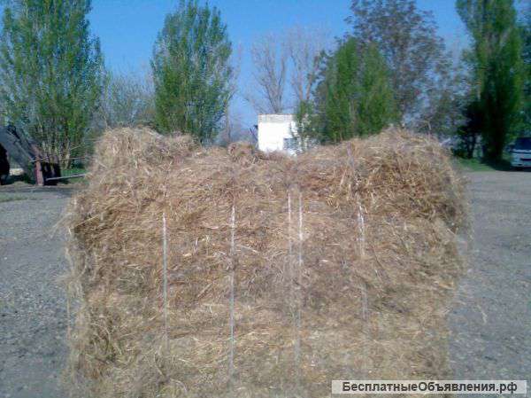 Пакля строительная льняная