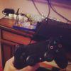 Sony PlayStation 4