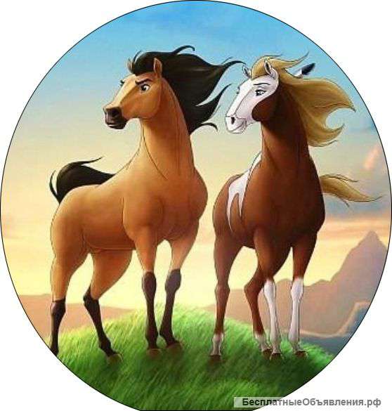 Создание фотофильма на заказ