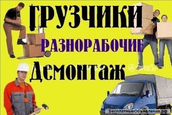 Профессиональные грузчики-разнорабочие