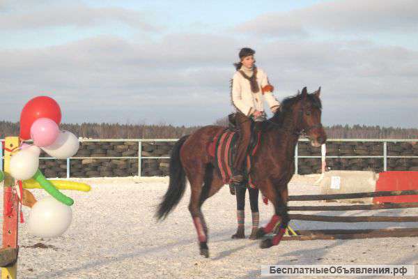 Верховая езда. Обучение