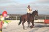 Верховая езда. Обучение