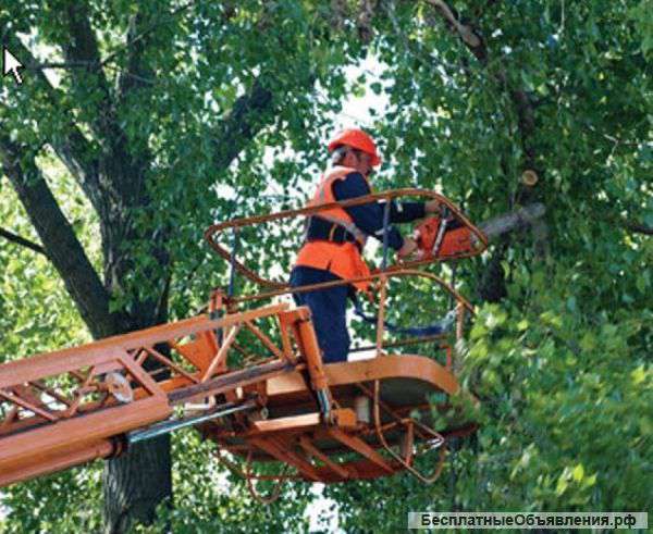 Валка деревьев, озеленение газонов
