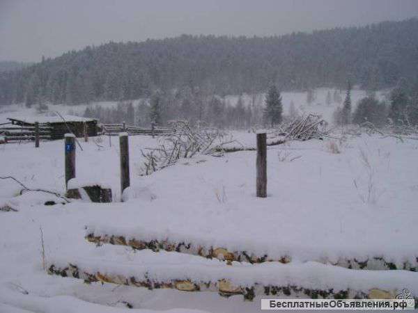 Участок в Респ.Алтай