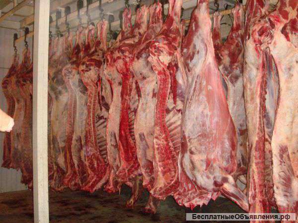 Охлажденную говядину оптом