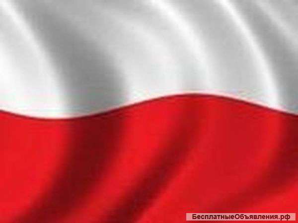 Польский язык через Skype