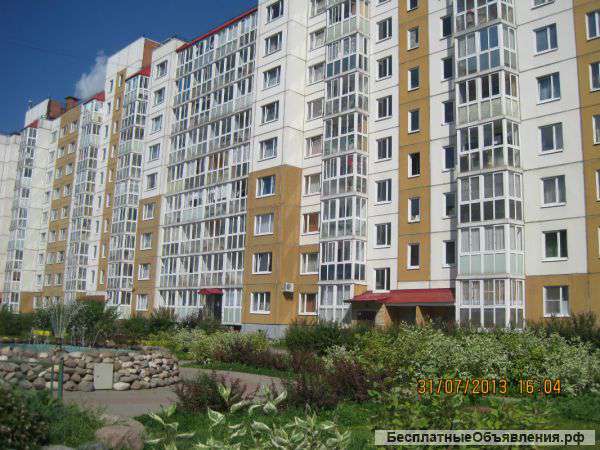 1 комн кв в Колтушах