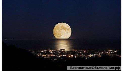 Комиссия по борьбе с коррупцией