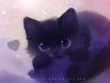 Возьму котенка