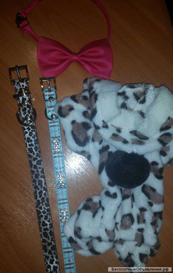 Костюм и ошейники. новые.