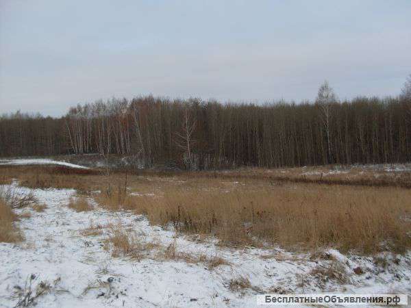 Земельный участок