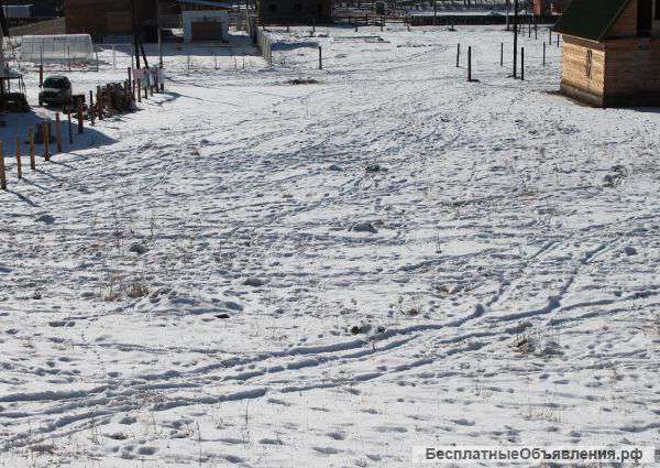 Участок под ИЖС в Чемальском районе с. Элекмонар (кемчик)