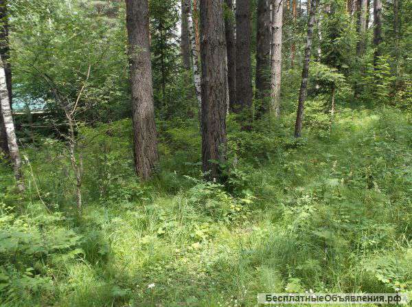 Земельный участок