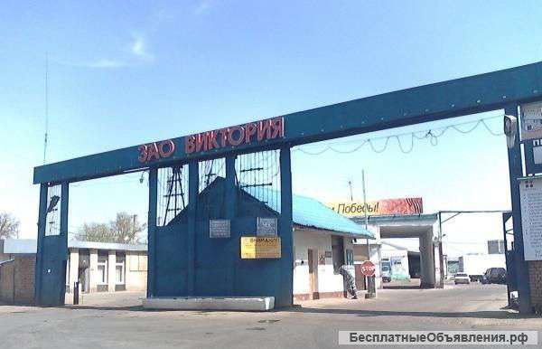 Сдается склад 400 кв.м (собственник)