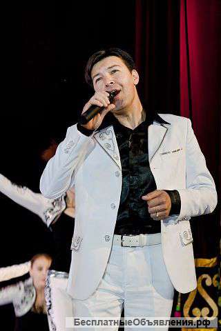 Работа звукорежиссера, певца, ведущего