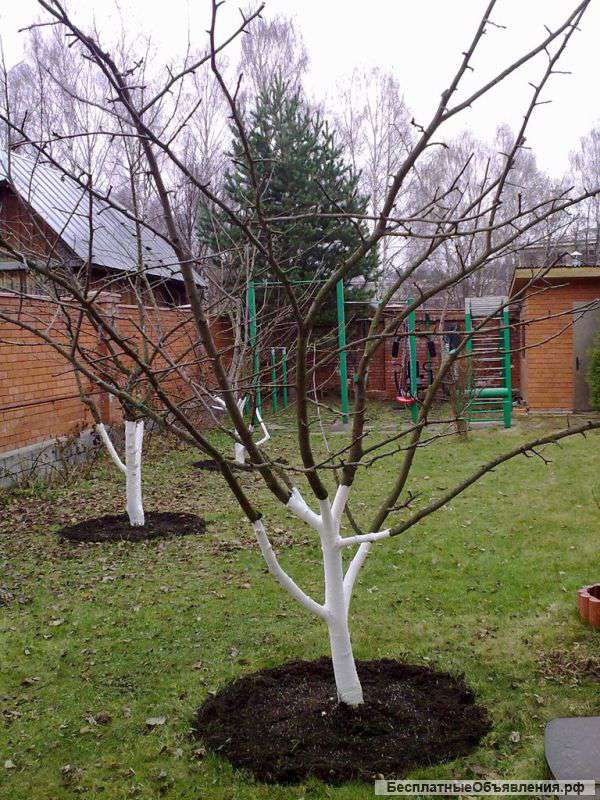 Озеленение и благоустройство