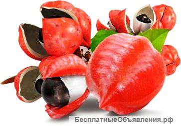 Жидкий каштан
