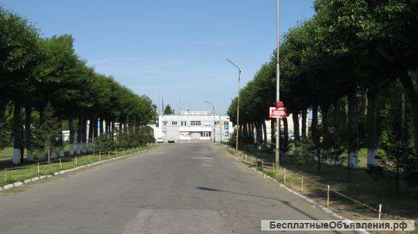 Профессиональный снос , обрезка деревьев