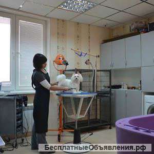 Требуется специалист по стрижке собак (грумер)