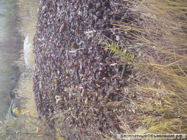 Куплю Стеклобой