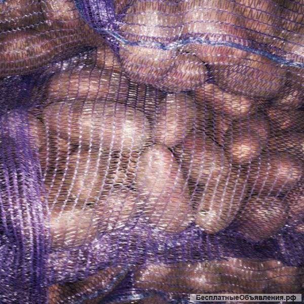 Картофель оптом от производителя