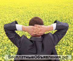 Ликвидация ООО