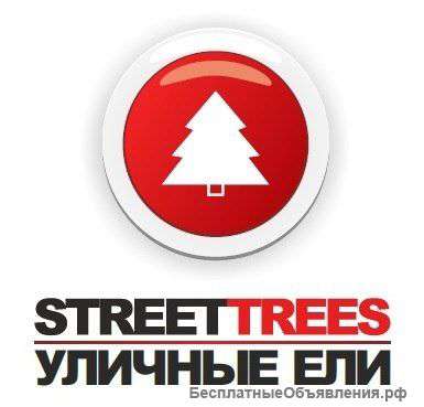 Франшиза компании Street-Trees