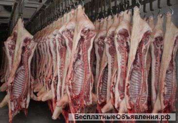 Свинина оптом