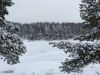 Участок на Дмитровском ш., 12 км от МКАД. ИЖС. Клязьминское вдхр.