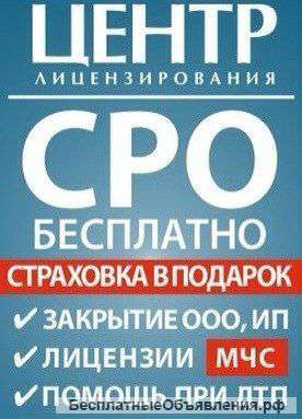 Допуски СРО, Лицензии МЧС, Закрытие Фирм, Лицензирования