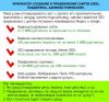 Фрилансер: Создание, поддержка, продвижение сайтов SEO