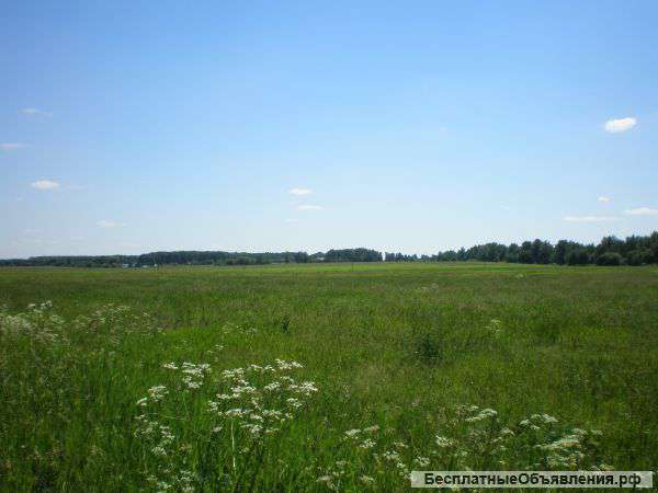 Участок в п. Новый (сп Иншинское) 10 соток