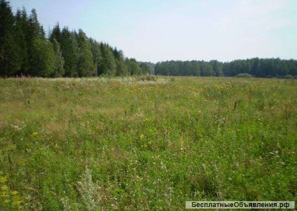 Сдам в аренду или продам