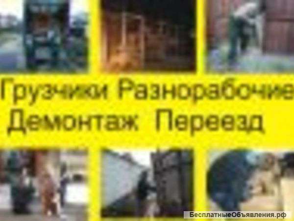 Разнорабочие готовы к работе
