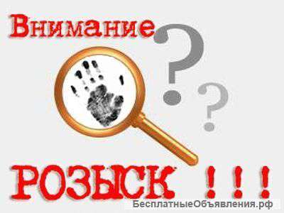 Розыск людей, имущества