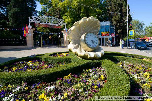 1-комн квартиру