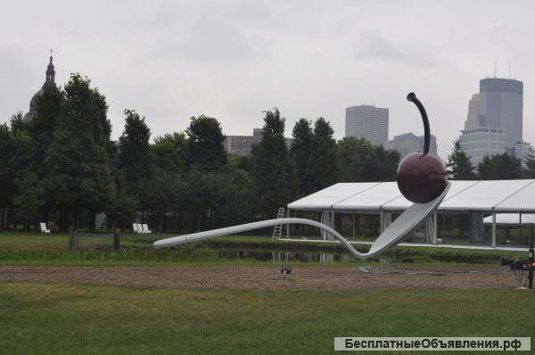 Курсы английского из США