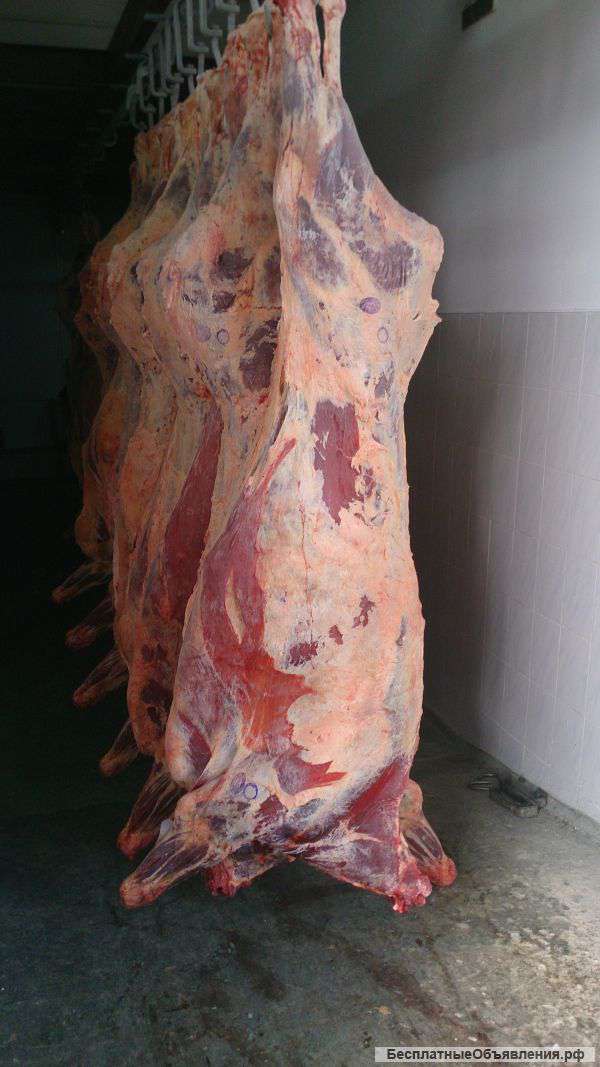 Говядина оптом из Республики Беларусь. Минск