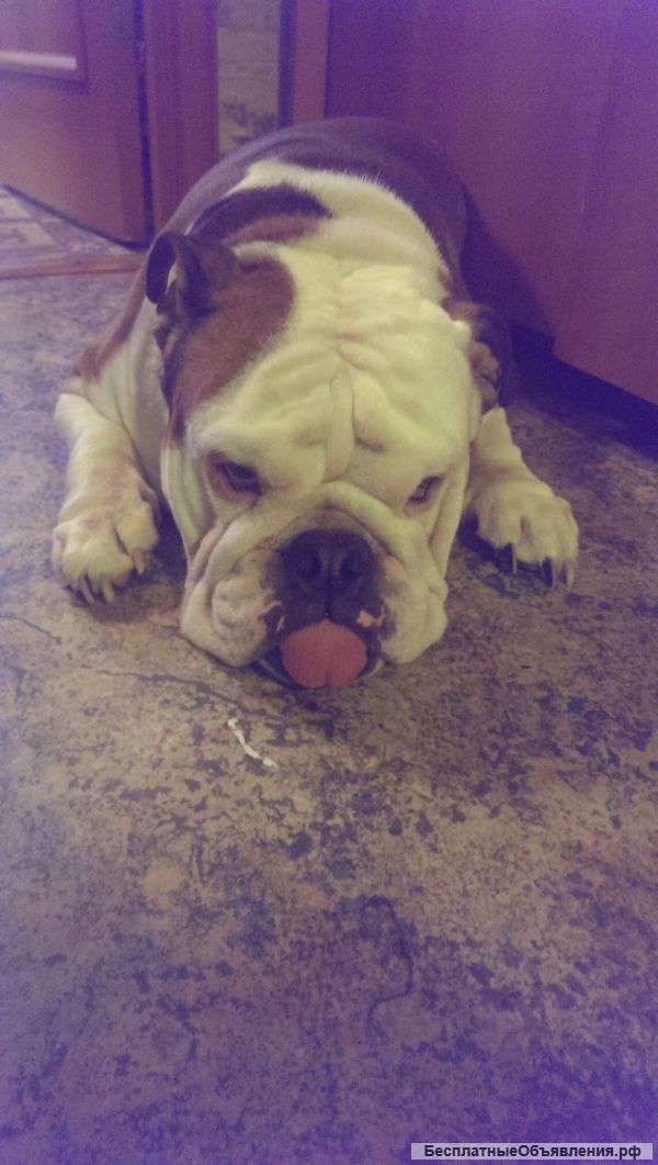 Приму монеты в дар за небольшое материальное вознаграждение