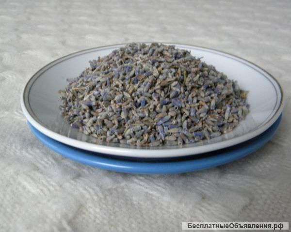 Цветки лаванды - высшего качества. Номер 50.