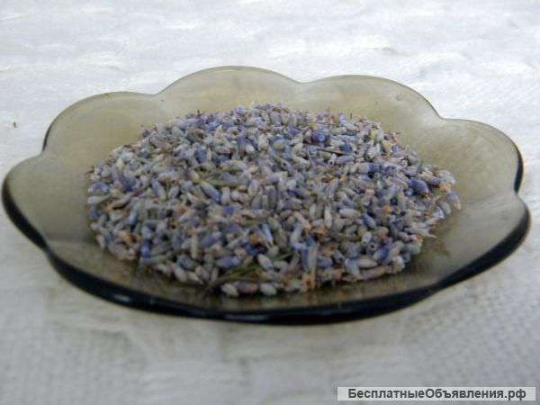 Лаванда. Объявление № 41.