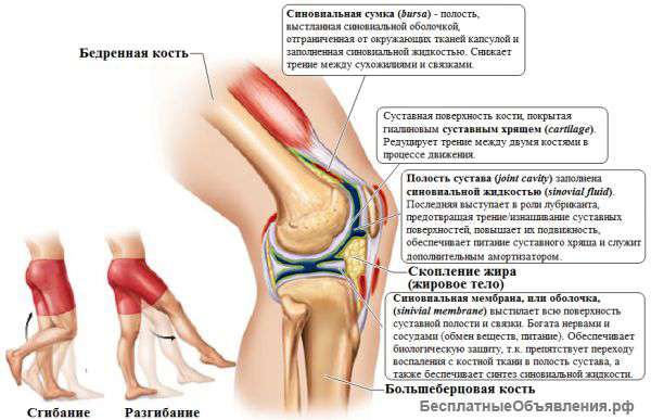 Разнообразные боли в спине