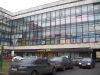Сдам в аренду