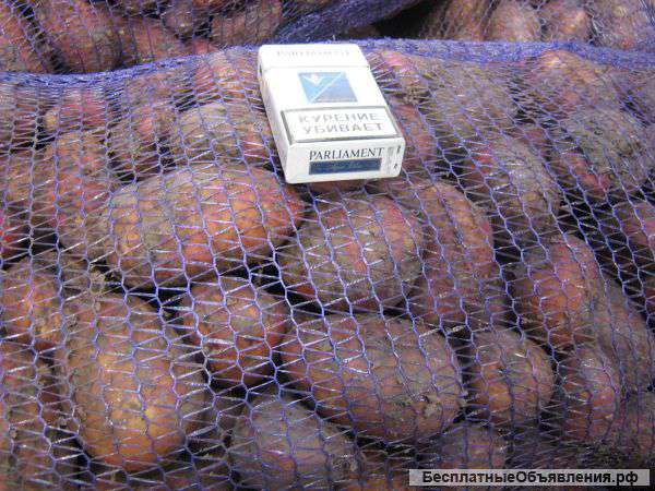 Картофель качественный оптом