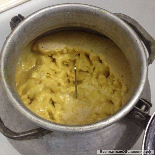 Натуральный мёд с Горного Алтая