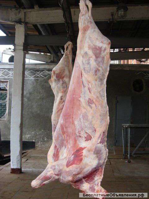 Говядину (заморозка)п/т