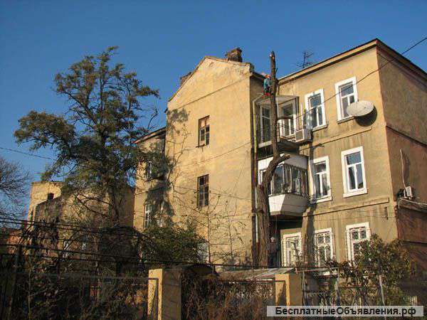 Спил деревьев любой сложности